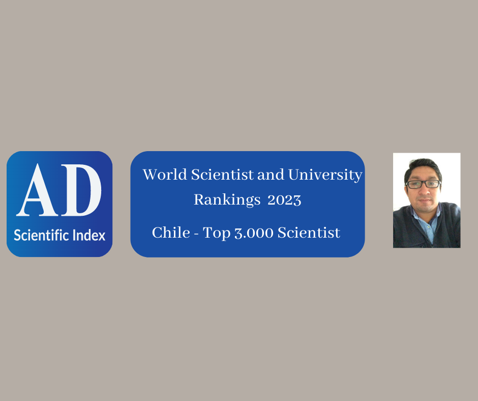 Académico de los Postgrados Edumat-ULagos en el Top de investigadores de Chile